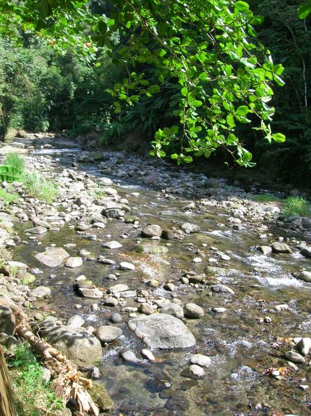 Grand Riviere